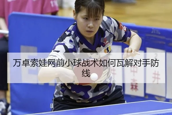 wan-zhuo-suo-wa-wang-qian-xiao-qiu-zhan-shu-ru-he-wa-jie-dui-shou-fang-xian-2-643.jpg