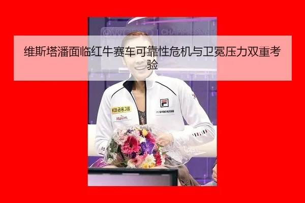 wei-si-ta-pan-mian-lin-hong-niu-sai-che-ke-kao-xing-wei-ji-yu-wei-mian-ya-li-shuang-chong-kao-yan-3-932.jpg
