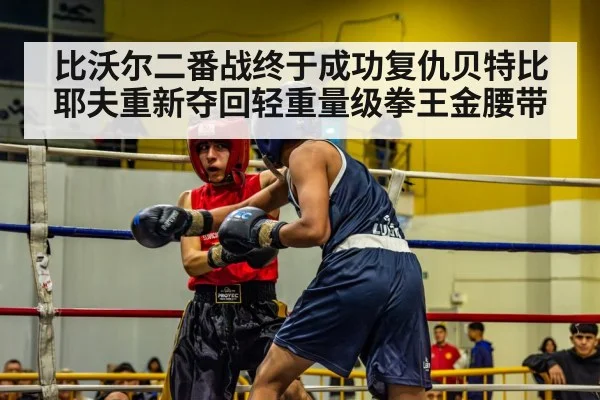 比沃尔二番战终于成功复仇贝特比耶夫重新夺回轻重量级拳王金腰带